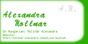 alexandra mollnar business card